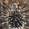 Porcupine quill Hat - Image 2